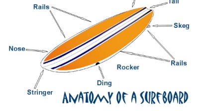 Parts of a surfboard | Learn to surf
