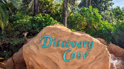 Discovery Cove Tour - Orlando