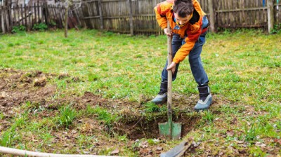 Once I let myself be fooled but twice...