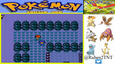 Searching Legendary Dogs - Pokémon Gold