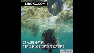 Today is a great day to start taking care of our oceans.