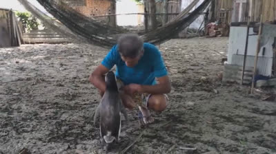 5 emotional encounters between caregivers and animals.