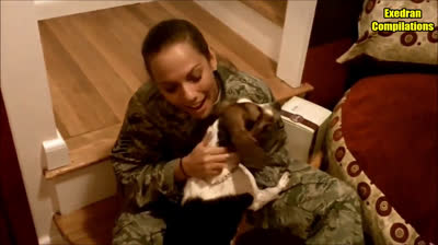 Soldiers meet their loyal dogs