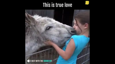 Donkey is thrilled to be reunited with his breeder