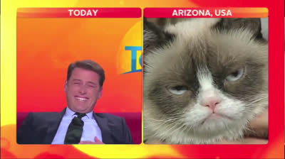 7 ataques de risa en televisión