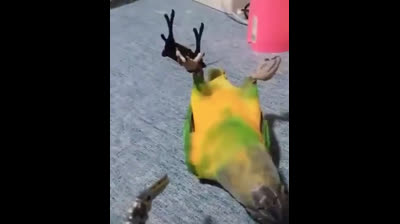 Oscar al mejor actor