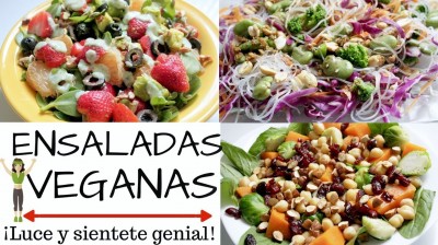 Fast vegan salads