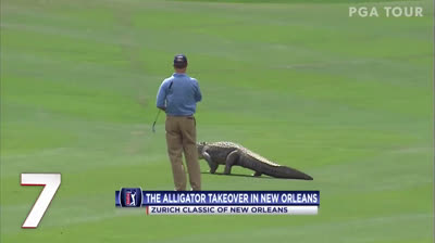 10 Animals found on the PGA Tour
