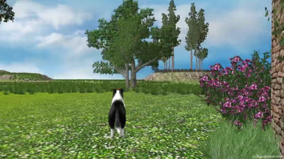 English vocabulary: el campo