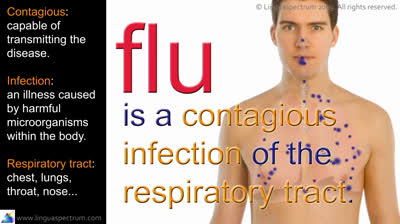 English vocabulary: influenza and illness