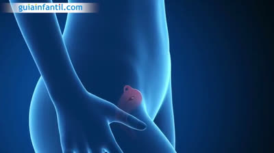 Your body two months pregnant