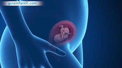 Your body three months pregnant