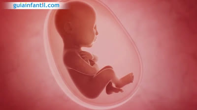 Your body six months pregnant