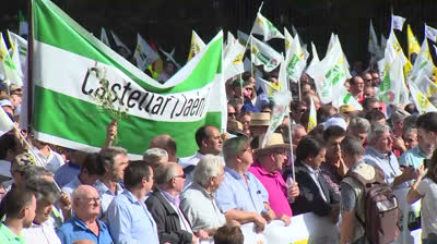 Sánchez's New Government: Social Collective reactions