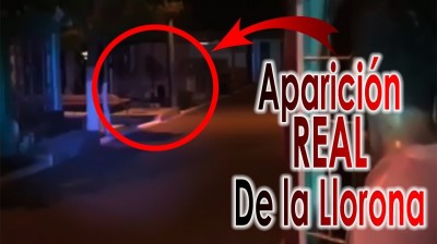 Apparitions in REAL LIFE