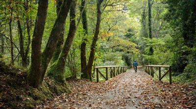 Bear Path - Asturias