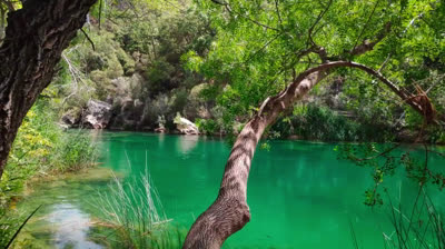 Tajo Natural Park - Guadalajara