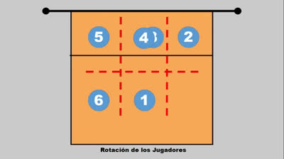 Volleyball Positions