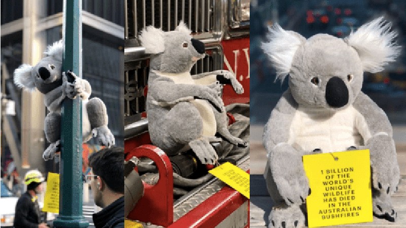 Nueva York amanece llena de koalas de peluche