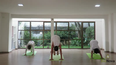 Clase de Vinyasa