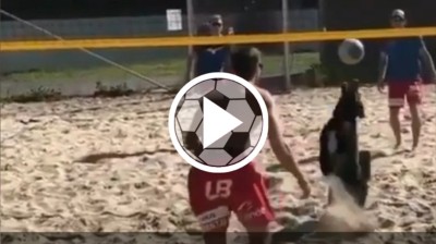 Perro jugando a volley-playa