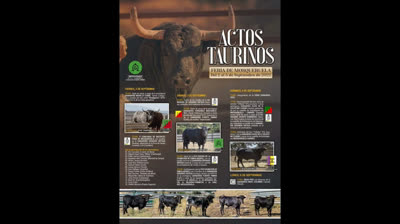 Fiestas y actos en la provincia de Teruel del día 3 al 7 de septiembre