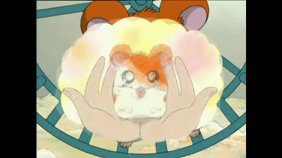 hamtaro capitulo 8