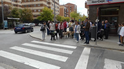 Paseo por Teruel de La Asociación de Usuarios de Perros Guía de Aragón