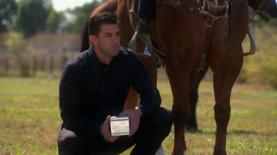 Tierra de Reyes Capítulo 95