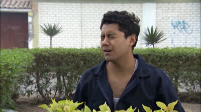 Ven Baila Quinceañera - Temporada 1 - Capítulo 52 Emisión 16 02 2016 América TvGO