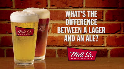 Diferencias entre una cerveza estilo Lager vs Ale