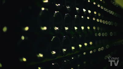 Visita Brasserie Cantillon