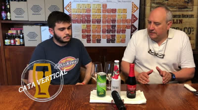 Analysis of 3 Lambic beers