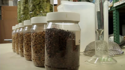 Guia para Principiantes para elaborar cerveza en casa