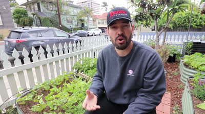 5 Errores de riego que probablemente estás cometiendo