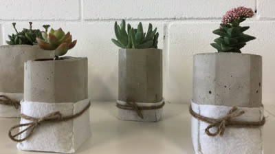 How to make cement pots at home - easy and cheap