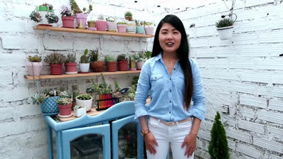 Cómo preparar un sustrato para cactus y suculentas