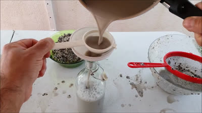 How to make homemade and natural rooting for plants