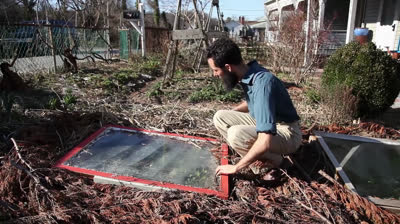 Grow beets from seed sooner with this technique