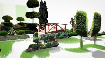 How to plant radishes step by step successifully