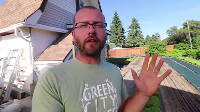 Top 5 most profitable crops