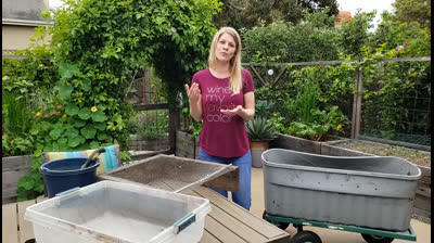 Cómo cosechar humus de lombriz de una simple vermicompostera
