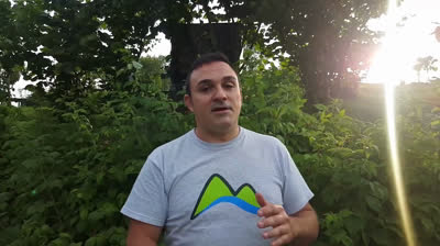 Guía para cultivar y podar frambuesos con éxito para conseguir frutas grandes y sabrosas