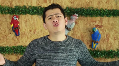 How to grow a black pepper plant in a pot