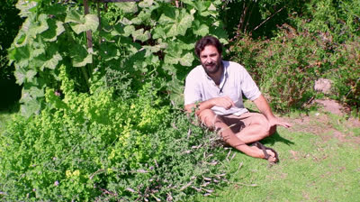 5 consejos para cultivar hierbabuena y menta en macetas