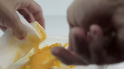 How to grow a mango tree from seed