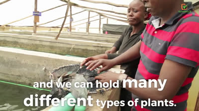 Kenya: Aquaponics, produce more in less space