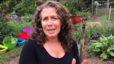 Cómo hacer un jardín sin excavación: el método de Morag Gamble para la abundancia de cosecha