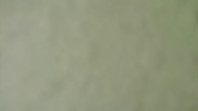 GoPro: Mavericks 2014