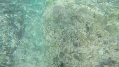 GoPro: Fiji Surf 2017
